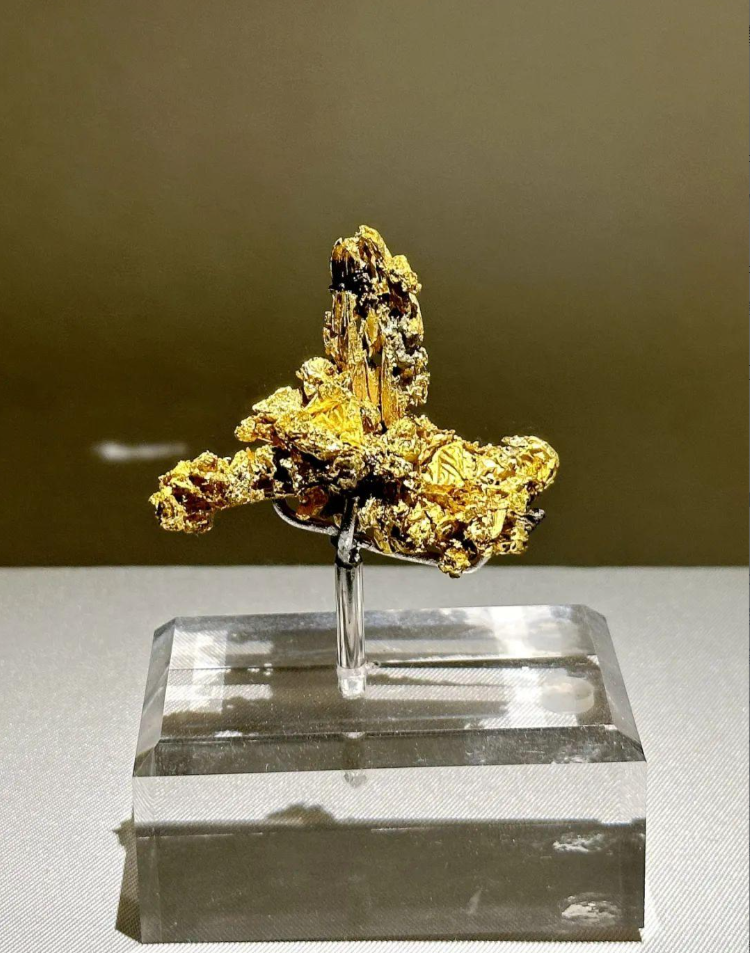 1770196341108456.png image.png