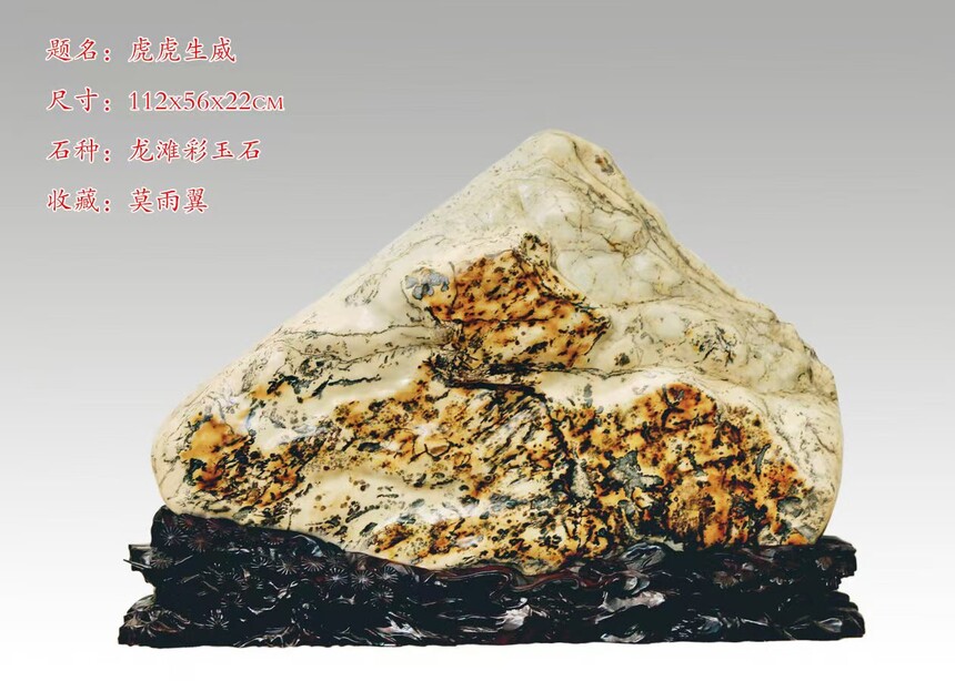 1770376168896521.jpg 45878fe450ebe1c242ff2ad24d3f4fbd.jpg