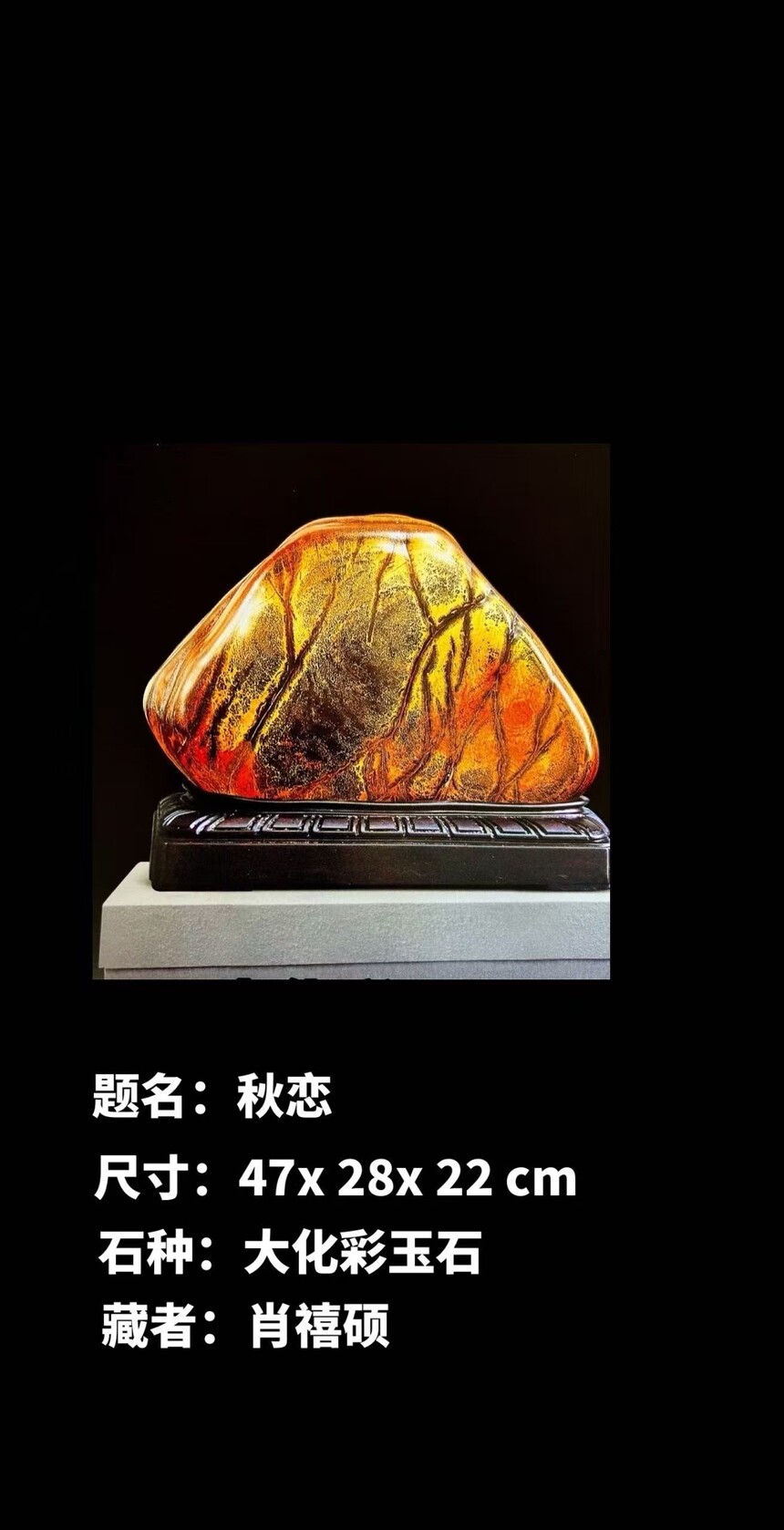 1770376238274667.jpg e90cd0dde795a2163faf00ea1fb5d382.jpg