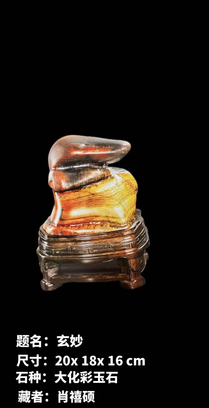 1770376268657826.jpg 61c27d0736d196317c404e63c35262e0.jpg