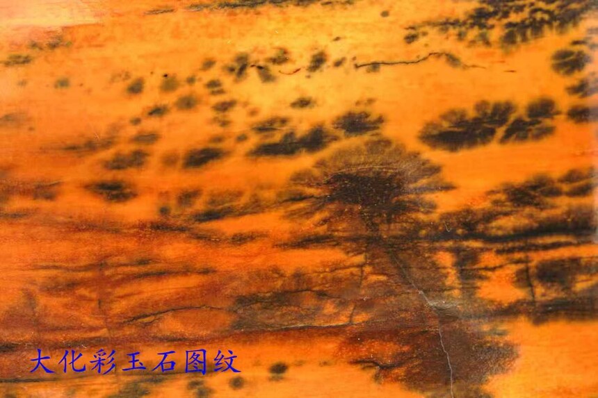 1770376287589958.jpg e81b37f3de8483c170821e76d5b2ad24.jpg