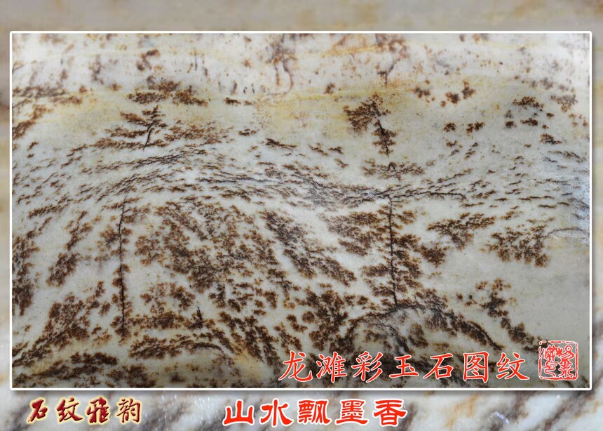 1770376301723883.jpg ac4c4d2794044c4a7bb669cb6aba1484.jpg