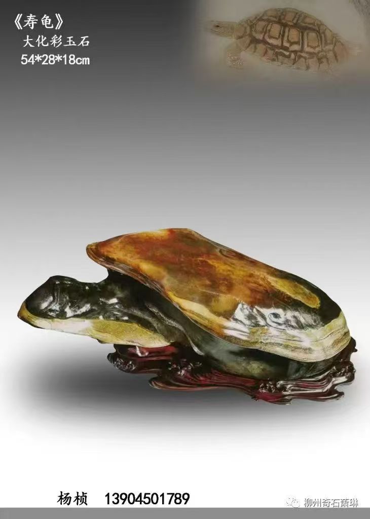 1774577070215391.jpg 5f8c57dfb70b870fed71c20c449e1cf3.jpg