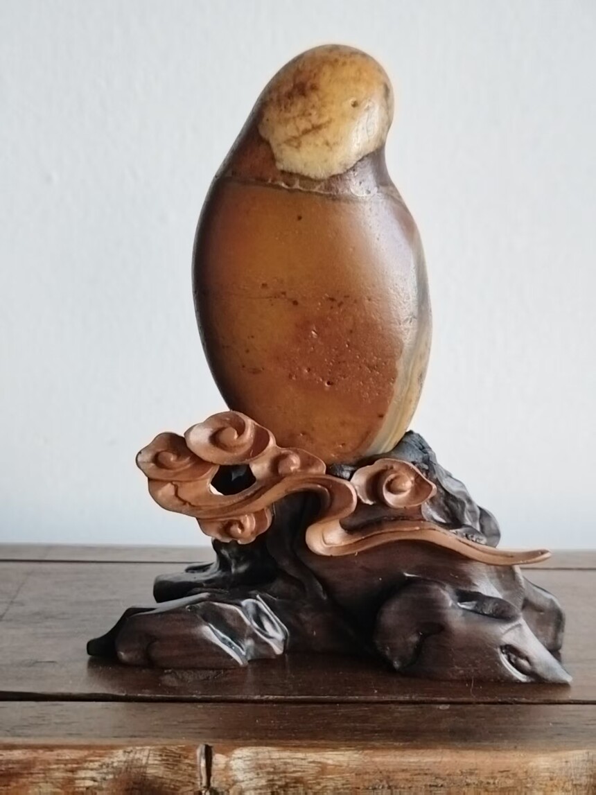 1774577277183827.jpg 53de75a124dd3b051d2eb5dfce4ccac1.jpg