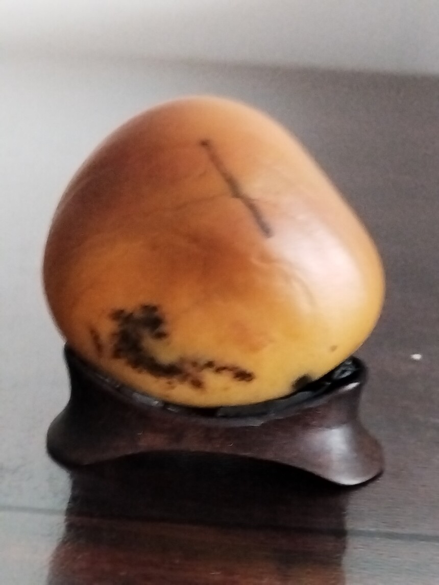 1774577432253074.jpg 5c5808b4baaa8838290f9a233e359077.jpg