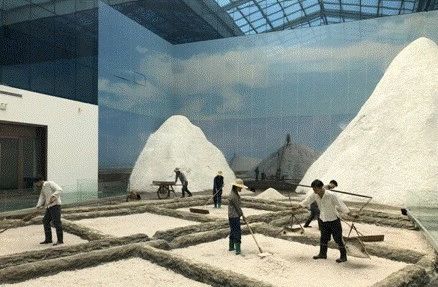 1748598996254935.jpg