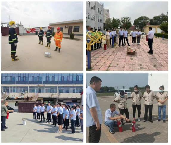 1751505884248985.png 333.png