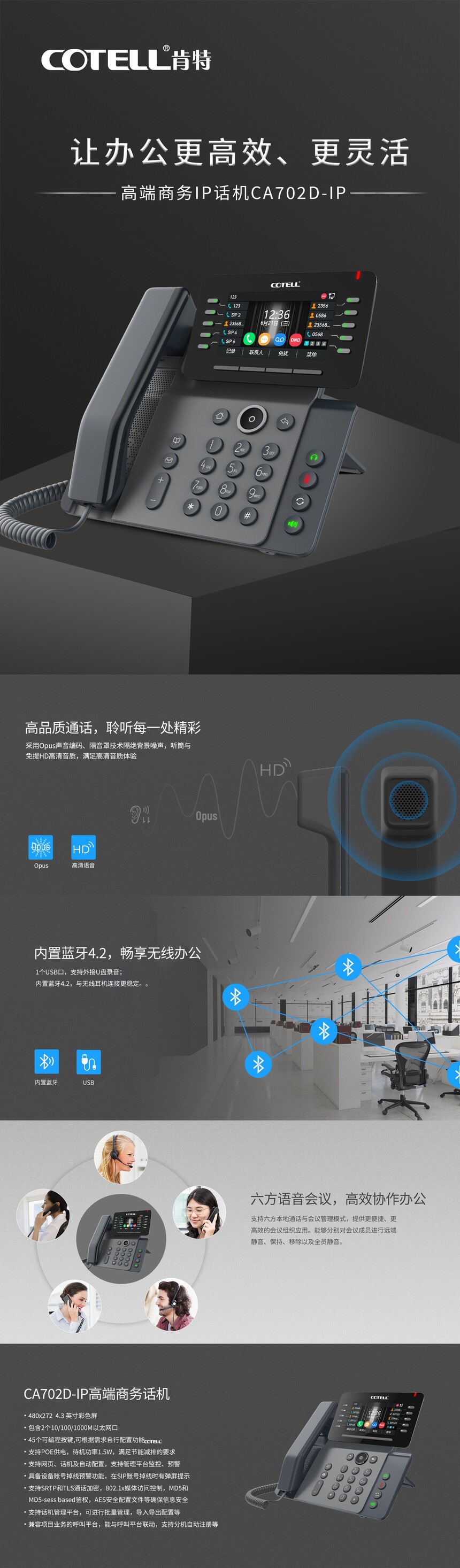 CA702D-IP.jpg