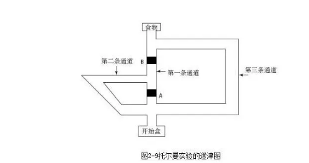 提出者:托尔曼 认为学习是 s-o-r的过程 实验:托尔曼的认知地图实 