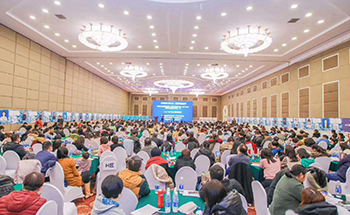 iEnglish少年读书会分享总结-2019.12.14北京