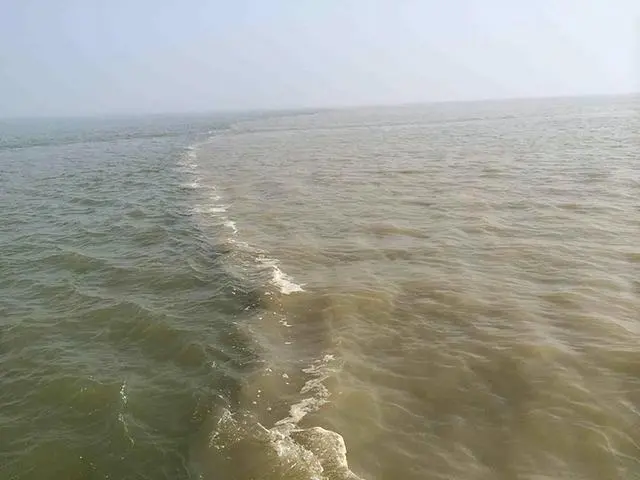 1718443253269.jpg