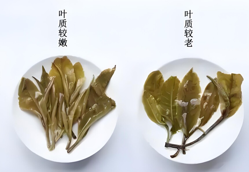 f87c91f1-13b1-4a65-86dc-ab87f14e2983.jpg