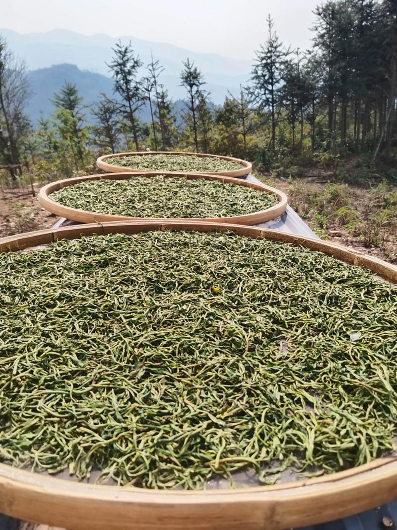 1765335110329197.jpeg a695dcd7142044209cfcc61379b311c4.jpeg