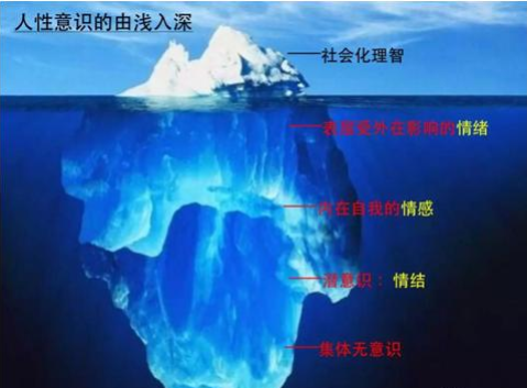 IP����Ӫ����λ