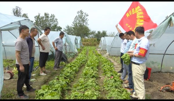 QQͼƬ20210909181432_1631182574