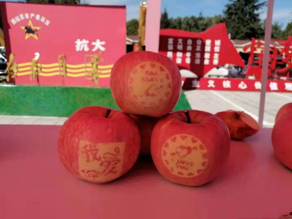 QQͼƬ20211016184727_1634381440