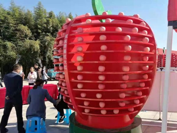 QQͼƬ20211016184731_1634381456