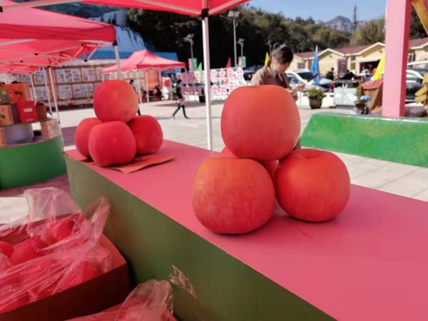 QQͼƬ20211016184745_1634381542