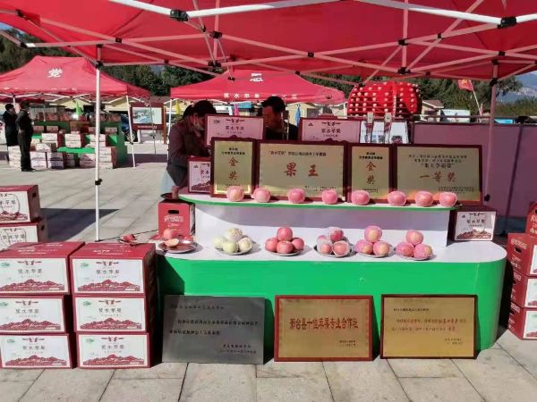 QQͼƬ20211016184734_1634381478