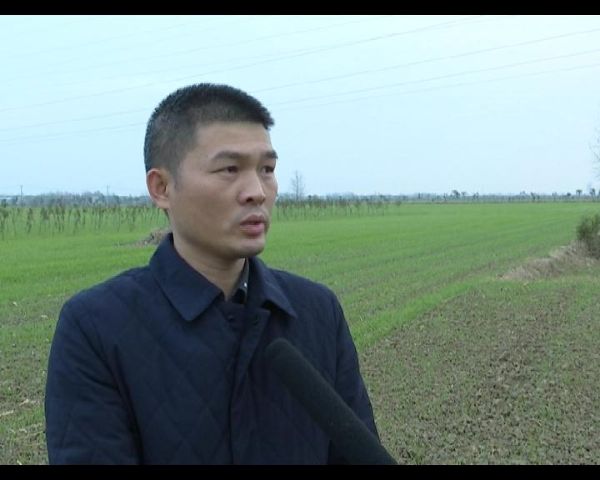QQ图片20211118095553_1637200916