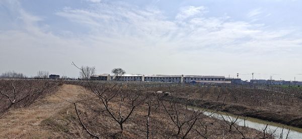 图片1_1646308231