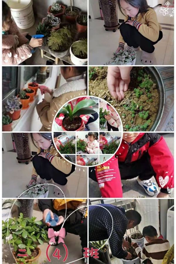 QQͼƬ20220311132731_1646976599