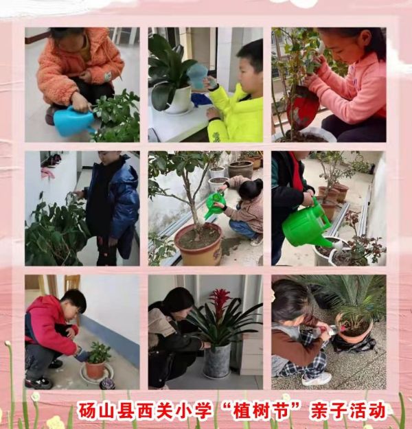 QQͼƬ20220311132714_1646976581