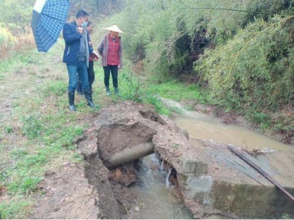 QQͼƬ20220317204608_1647521251