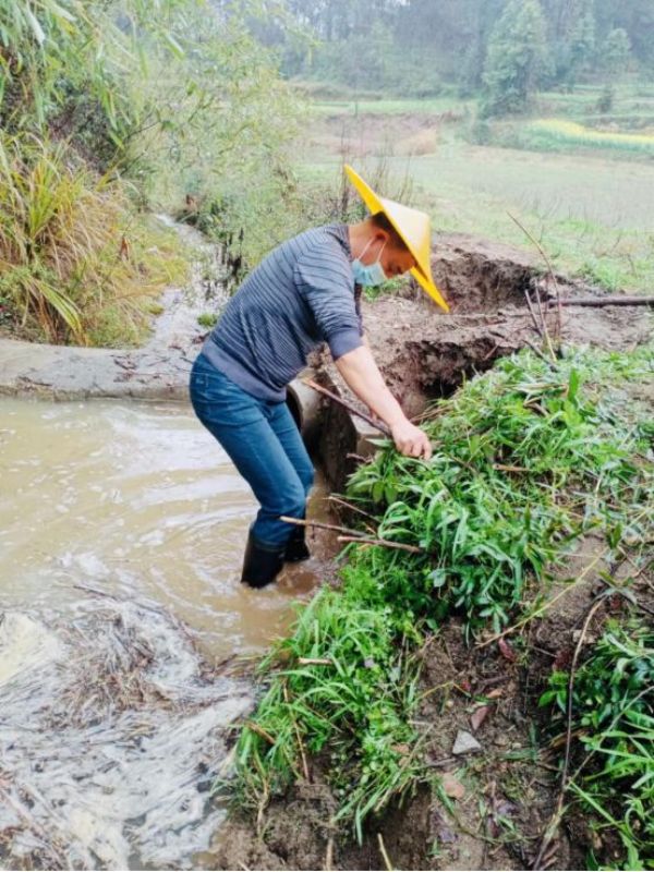 QQͼƬ20220317204622_1647521282