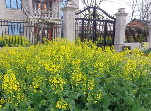 QQͼƬ20220318095423_1647568517