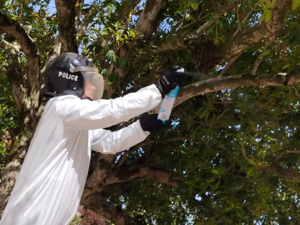 QQͼƬ20220329173231_1648546444