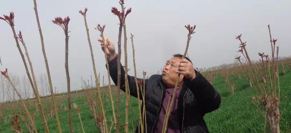 QQ图片20220405211225_1649164454