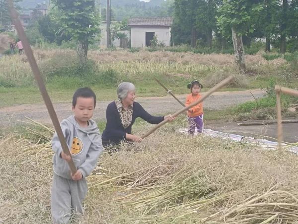 QQͼƬ20220612182352_1655029545