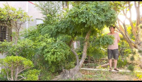 QQͼƬ20220621133442_1655789820