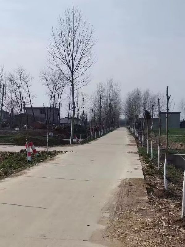 QQͼƬ20230223165242_1677142544