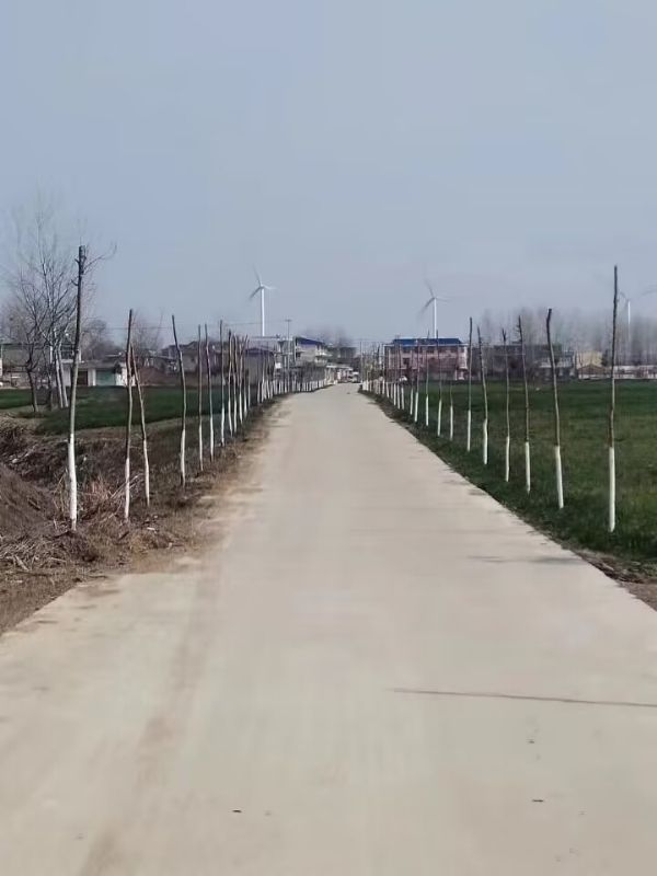 QQͼƬ20230223165239_1677142533