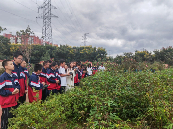 1696834469146839.jpg 1696834469146839.jpg