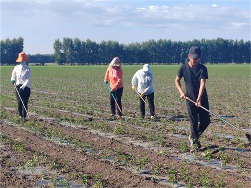 1718409155847879.jpg QQ图片20240615073758.jpg