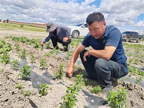 1718409195580683.jpg QQ图片20240615073806.jpg