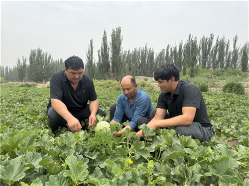 1719106270608258.png 图片1.png