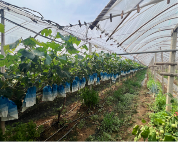 1719238448144985.png 图片3.png