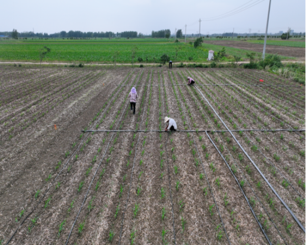 1719913959611529.png 图片1.png