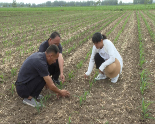 1719914003870132.png 1719914003870132.png