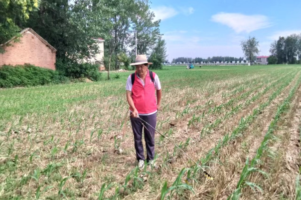 1721792368469199.png 图片12.png