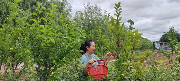 1722219561947213.jpg QQ图片20240729101512.jpg