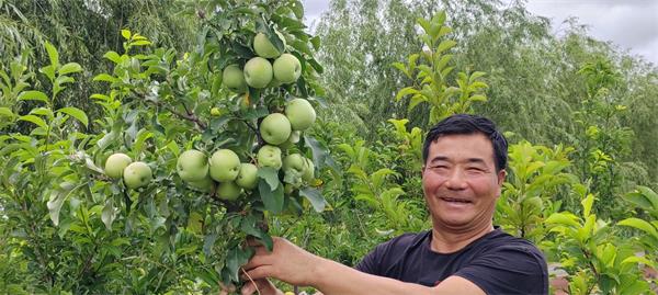 1722219604454754.jpg QQ图片20240729101515.jpg