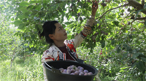 1723605036497867.png 图片3.png