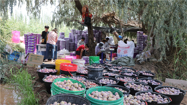 1723605069114956.png 图片4.png