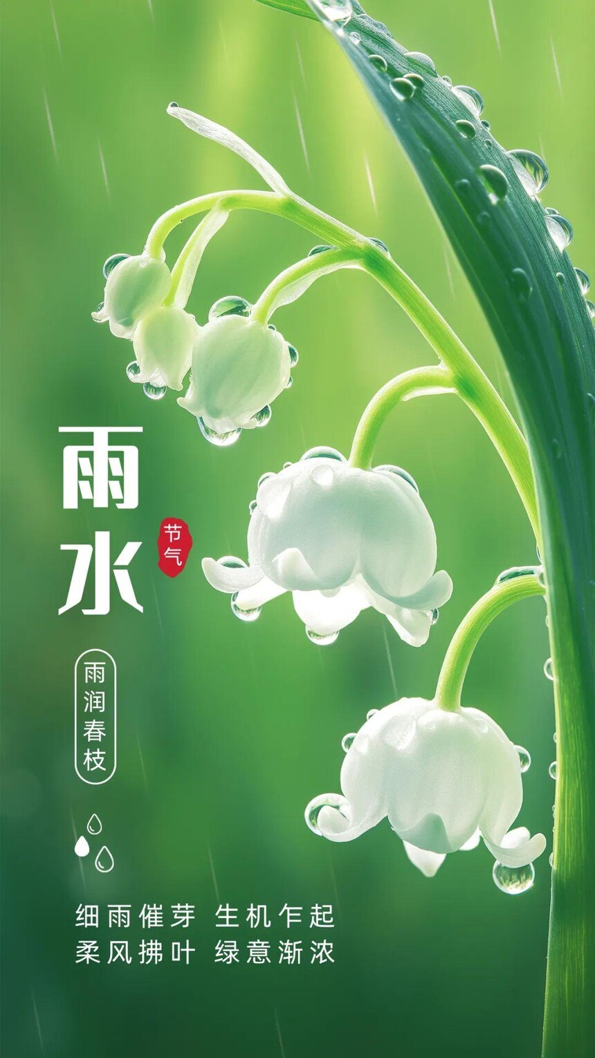 1773038286196107.jpeg 图一.jpeg