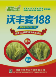 188.jpg